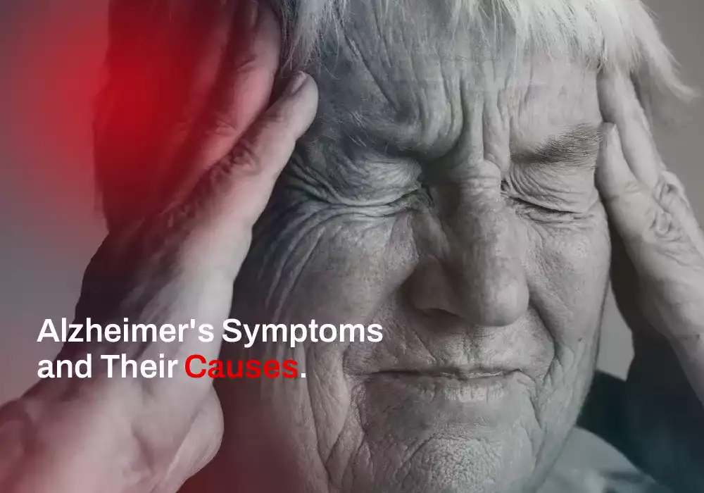 Causes of Alzheimer's Insight